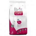 BRIT Care Indoor 2 kg