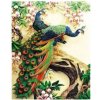 Norimpex Diamantové maľovanie Vznešený páv 30 x 40 cm Norimpex Diamantové maľovanie Vznešený páv 30 x 40 cm