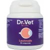 Dr. Vet Lacrimalis+ výživa očí pre psy a mačky 30tbl Dr. Vet Lacrimalis+ výživa očí pre psy a mačky 30tbl