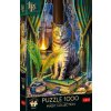 Magic Collection: Book of Shadows