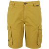 Regatta Shorebay Shorts II svetlozelená Regatta Shorebay Shorts II svetlozelená