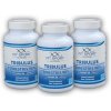 FitSport Nutrition 3x Tribulus Terrestris 90% + Vitamín B6 + Zinok 100 kapsúl FitSport Nutrition 3x Tribulus Terrestris 90% + Vitamín B6 + Zinok 100 kapsúl