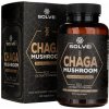 Solve Labs Chaga Mushroom Inonotus Obliquus - 60 kapsúl Solve Labs Chaga Mushroom Inonotus Obliquus - 60 kapsúl