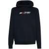 Tommy Hilfiger Essentials Hoody desert sky