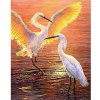 Diamantový obraz Volavky Diamantový obraz Volavky