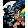 Zuty - Batman a robin, 40×50 cm, vypnuté plátno na rám (8596530134572) Zuty - Batman a robin, 40×50 cm, vypnuté plátno na rám (8596530134572)