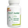 DOLFOS Dolvit Junior 90 tabliet vitamíny a minerály pre šteňatá a mladé psy DOLFOS Dolvit Junior 90 tabliet vitamíny a minerály pre šteňatá a mladé psy