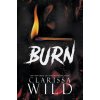 Burn (Brožovaná) Burn (Brožovaná)