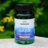 Swanson GABA 250 mg x 60 kapsúl