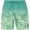 Men's beach shorts Protest PRTAGOR zelená M Protest 8719947604982 Men's beach shorts Protest PRTAGOR zelená M Protest 8719947604982