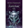 Zaklínač VII. - Paní jezera (Andrzej Sapkowski) Zaklínač VII. - Paní jezera (Andrzej Sapkowski)
