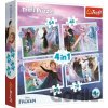 4v1 Magie v lese / Disney Frozen 2 - Trefl 4v1 Magie v lese / Disney Frozen 2 - Trefl
