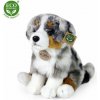 Rappa Plyšový austrálsky ovčiak sediaci 30 cm ECO-FRIENDLY Rappa Plyšový austrálsky ovčiak sediaci 30 cm ECO-FRIENDLY