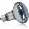 Terra Day Heat bulb 50W (HP žiarivka pre denné svetlo a ohrev 50W) Terra Day Heat bulb 50W (HP žiarivka pre denné svetlo a ohrev 50W)