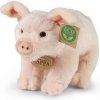 Rappa Plyšové prasa domáce stojace 20 cm Eco-Friendly Rappa Plyšové prasa domáce stojace 20 cm Eco-Friendly