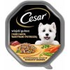 Cesar v omáčke s kuracím mäsom zeleninou a petržlenovou vňaťou 150 g