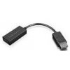 Lenovo 4X90R61023 adaptér na video kábel 0,225 m DisplayPort Typ HDMI (štandard) Čierna (4X90R61023) Lenovo 4X90R61023 adaptér na video kábel 0,225 m DisplayPort Typ HDMI (štandard) Čierna (4X90R61023)