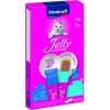 Vitakraft Jelly Lovers losos & platesa 6 x 15 g Vitakraft Jelly Lovers losos & platesa 6 x 15 g