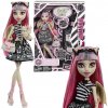 Monster High bábika Rochelle Goyle 26 cm Creeproduction s doplnkami a miláčikom Roux