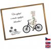 Rámček na darovanie peňazí - Dámsky bicykel, Nápis česky, Rámik 905 - bronzová Rámček na darovanie peňazí - Dámsky bicykel, Nápis česky, Rámik 905 - bronzová