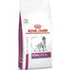 ROYAL CANIN Veterinary Diet Dog Renal Special 2 kg ROYAL CANIN Veterinary Diet Dog Renal Special 2 kg