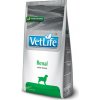 Farmina N&D Farmina Vet Life Dog Renal 2kg Farmina N&D Farmina Vet Life Dog Renal 2kg