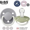 Bibs De Lux silikón 2ks Sage nočný Cloud nočný