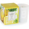 Vonná sviečka THE SCENTED HOME - SICILIAN LEMON 70g Vonná sviečka THE SCENTED HOME - SICILIAN LEMON 70g