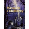 Meteorit z Mušlovky - Valentová Veronika Meteorit z Mušlovky - Valentová Veronika