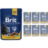 Brit Premium Cat Chicken & Turkey 12 x 100 g