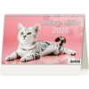 Stolový kalendár riadkový 22,6x13,9 cm - Kočky/Mačky 2026 Stolový kalendár riadkový 22,6x13,9 cm - Kočky/Mačky 2026