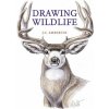 Drawing Wildlife Drawing Wildlife
