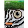 EPSON Fine Art Cotton Textured Bright A4 25 Sheets C13S450288 EPSON Fine Art Cotton Textured Bright A4 25 Sheets C13S450288