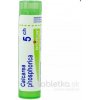 Calcarea Phosphorica gra.1 x 4 g 5CH