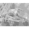 ZUTY Bodkovanie - SPIDERMAN V AKCII Rámovanie: bez rámu a bez vypnutia plátna, Rozmer: 40x50 cm ZUTY Bodkovanie - SPIDERMAN V AKCII Rámovanie: bez rámu a bez vypnutia plátna, Rozmer: 40x50 cm