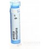 ARNICA MONTANA GRA HOM CH9 1x4 g ARNICA MONTANA GRA HOM CH9 1x4 g