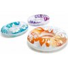 Intex 59251 koleso 91cm oranžová 59251 oranžová Intex 59251 koleso 91cm oranžová 59251 oranžová