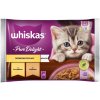 Whiskas Junior Casserole výber z hydinového v želé 4 x 85 g Whiskas Junior Casserole výber z hydinového v želé 4 x 85 g