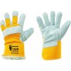 Canis CXS DINGO WINTER