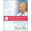 Meditace + CD Flétna pro meditaci Meditace + CD Flétna pro meditaci