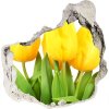 Nálepka 3D diera na stenu Žlté tulipány 75x75 cm Nálepka 3D diera na stenu Žlté tulipány 75x75 cm