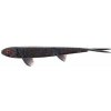 Westin Twinteez Pelagic 20cm Black Mamba 30g Westin Westin Twinteez Pelagic 20cm Black Mamba 30g Westin