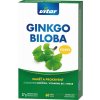 Vitar Revital Ginkgo Biloba Forte 60 kapsúl Vitar Revital Ginkgo Biloba Forte 60 kapsúl