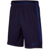 Detské šortky Nike Dry Squad 18 - Detské športové šortky Nike v rôznych farbách. - 2447543 Detské šortky Nike Dry Squad 18 - Detské športové šortky Nike v rôznych farbách. - 2447543