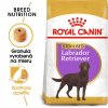 Royal Canin Sterilised Labrador Retriever 12 kg