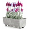 HowHomely PLASTOVÝ KVETINÁČ SALVIA 37,5X17 CM IMITÁCIA BETÓNU SIVÁ