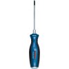 Bosch Skrutkovač PH1X100 1.600.A01.TG2 Bosch Skrutkovač PH1X100 1.600.A01.TG2