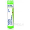 Hypericum Perforatum gra.1 x 4 g 5CH