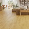 Classen Nuva Selected Dryback 65168 Cotton Oak Brown 4,33 m²