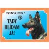 Tabuľka Tu strážim! Nemecký ovčiak vlkosivý 1 ks